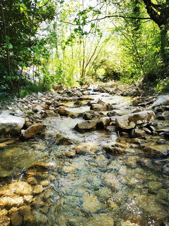 L'Etang De La Tourne Acomodação com café da manhã Les Marches Exterior foto