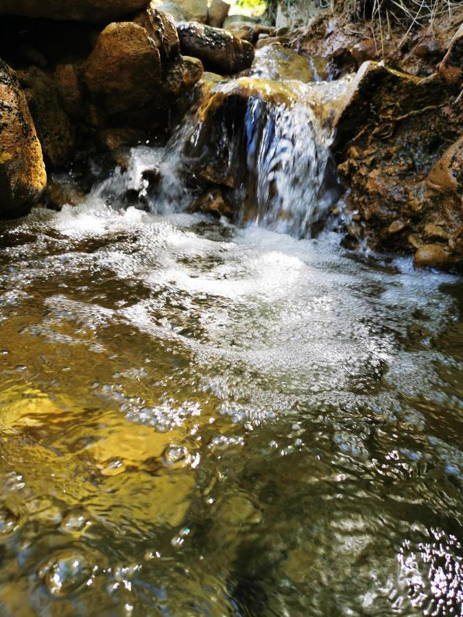 L'Etang De La Tourne Acomodação com café da manhã Les Marches Exterior foto